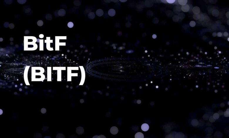 الحقيقة الصادمة وراء شركة BITF النصابة: كيف تحمي نفسك وأموالك؟